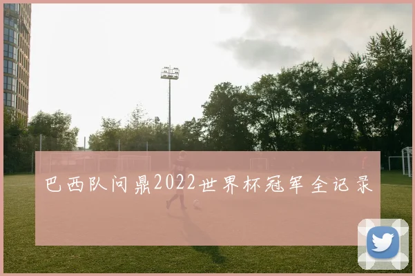 巴西队问鼎2022世界杯冠军全记录