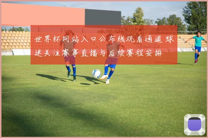 世界杯网站入口公布线观看通道 球迷关注赛事直播与后续赛程安排
