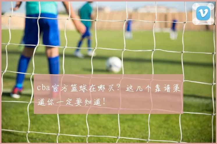 cba官方篮球在哪买?这几个靠谱渠道你一定要知道!