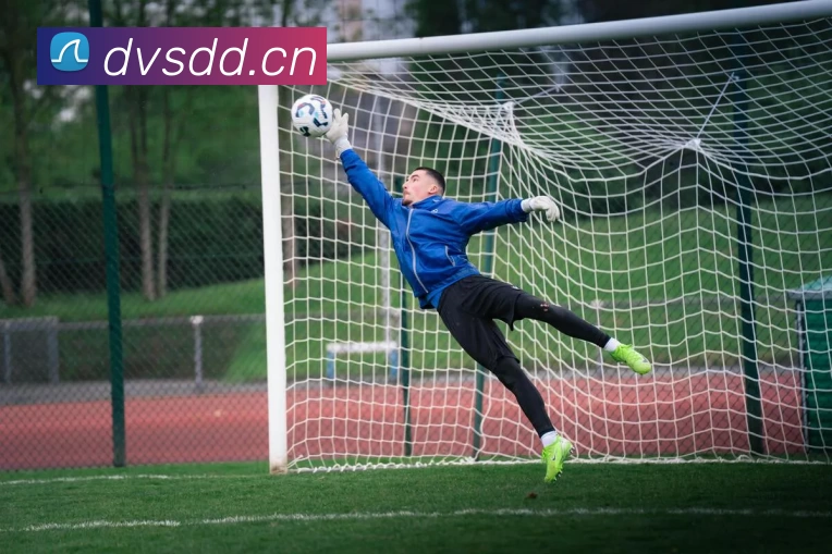 多媒体互动体验